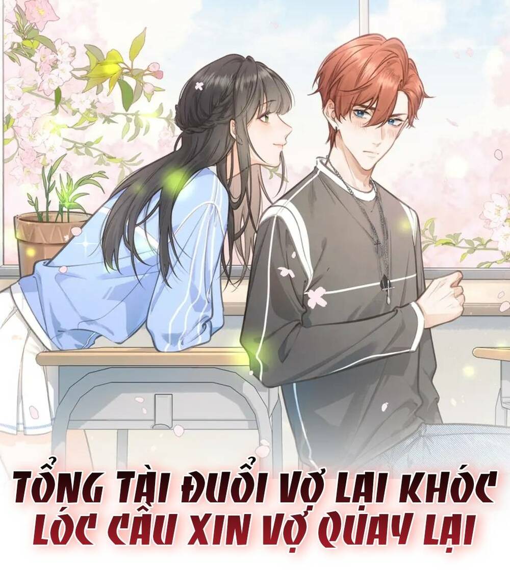 Tổng Tài Đuổi Vợ Lại Khóc Lóc Cầu Xin Vợ Quay Lại Chapter 1 - Trang 1