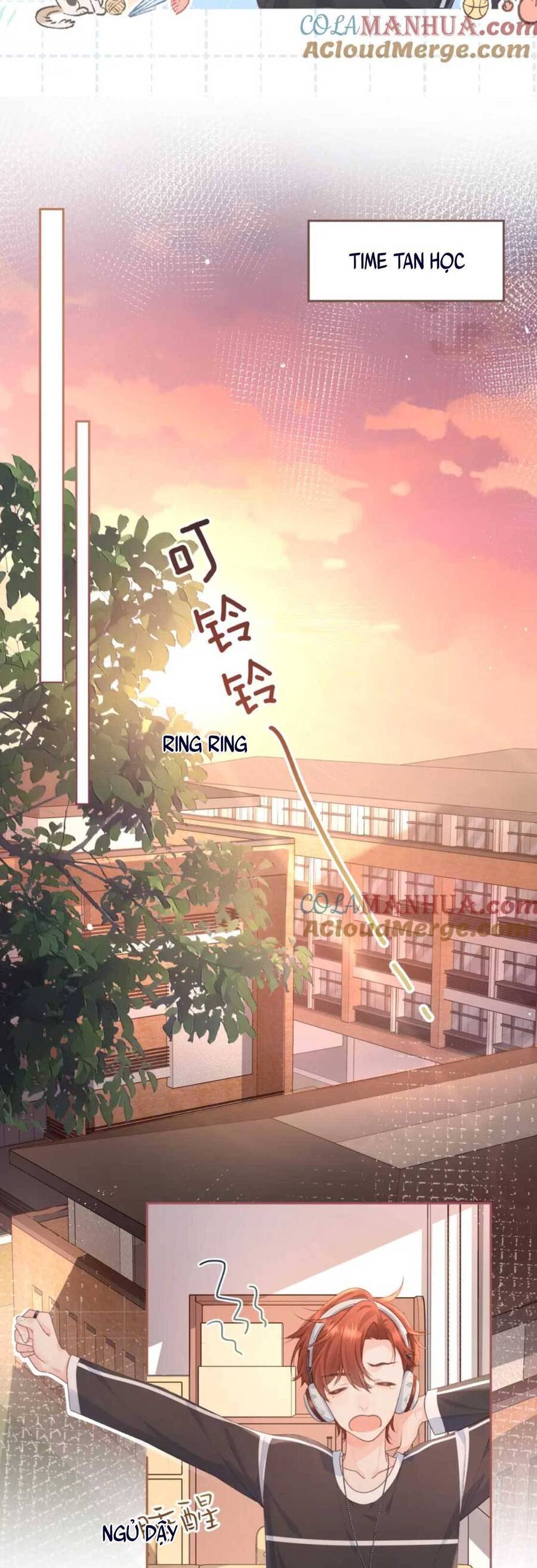 Tổng Tài Đuổi Vợ Lại Khóc Lóc Cầu Xin Vợ Quay Lại Chapter 6 - Trang 18