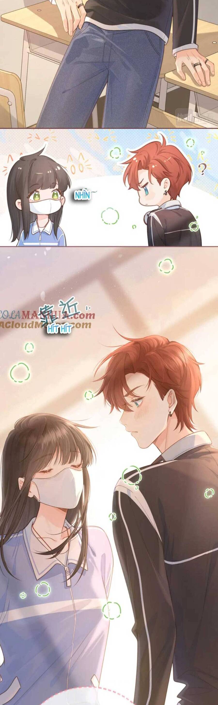 Tổng Tài Đuổi Vợ Lại Khóc Lóc Cầu Xin Vợ Quay Lại Chapter 6 - Trang 4