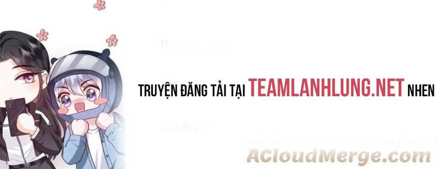 Tổng Tài Đuổi Vợ Lại Khóc Lóc Cầu Xin Vợ Quay Lại Chapter 9 - Trang 3