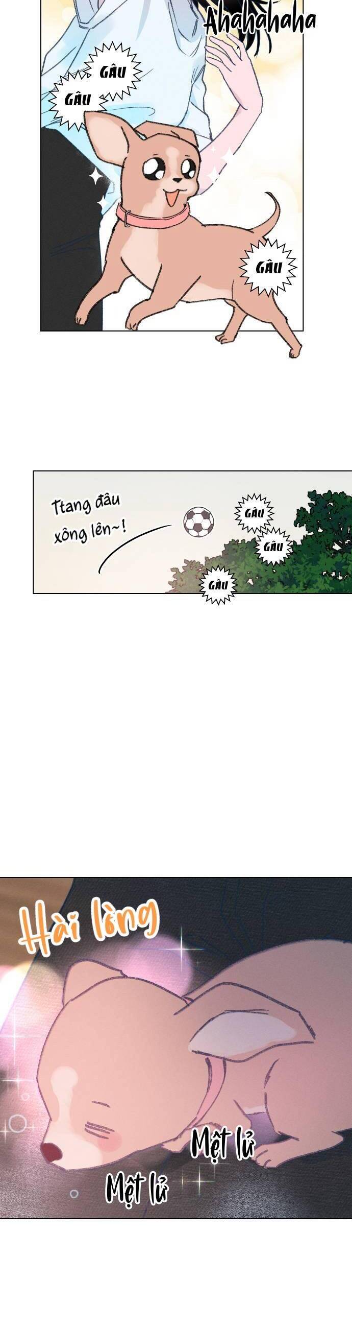 Bầu Trời Mùa Hạ Dấu Yêu Chapter 16 - Trang 29