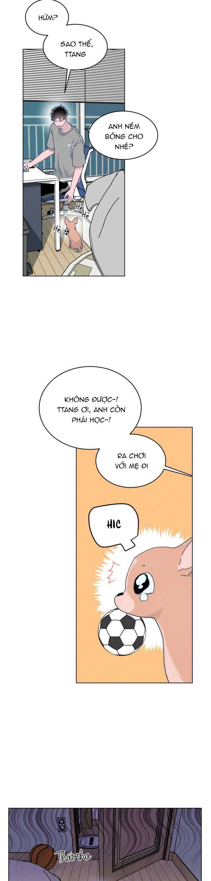 Bầu Trời Mùa Hạ Dấu Yêu Chapter 10 - Trang 25