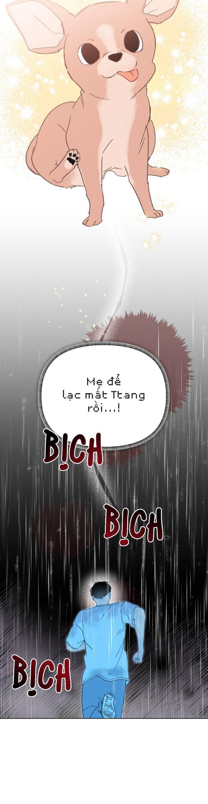 Bầu Trời Mùa Hạ Dấu Yêu Chapter 33 - Trang 36