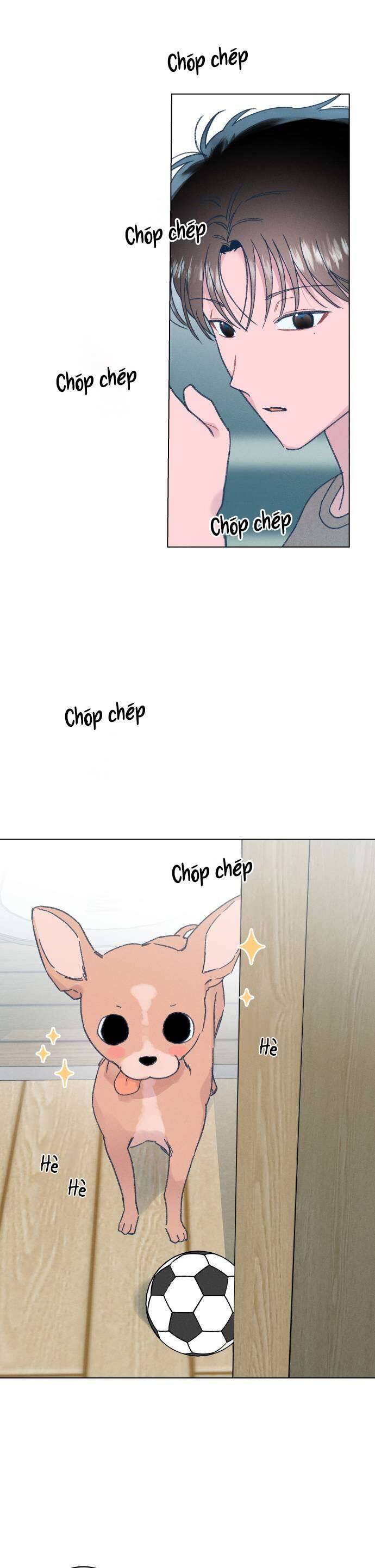 Bầu Trời Mùa Hạ Dấu Yêu Chapter 10 - Trang 24