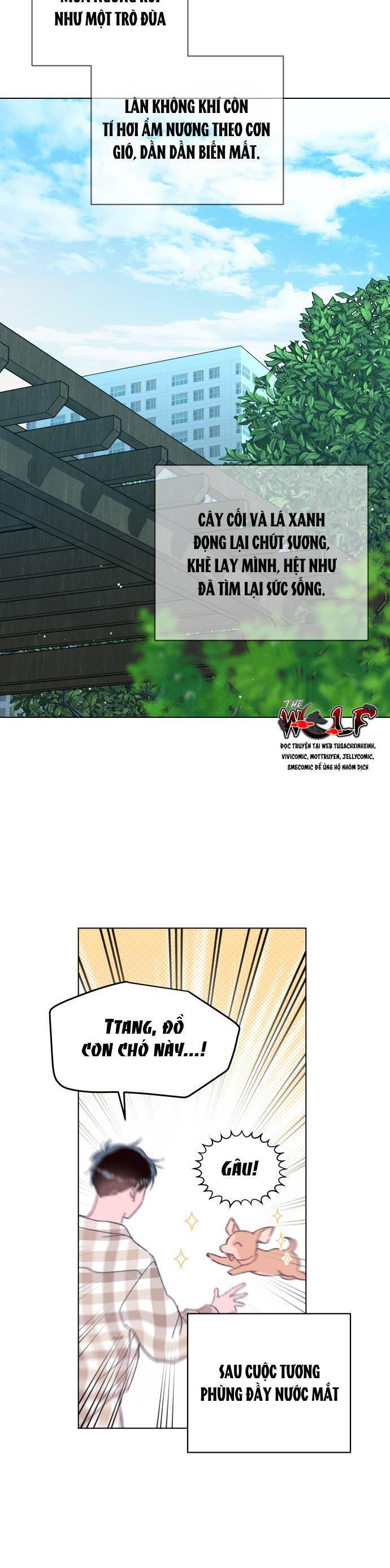 Bầu Trời Mùa Hạ Dấu Yêu Chapter 34 - Trang 43