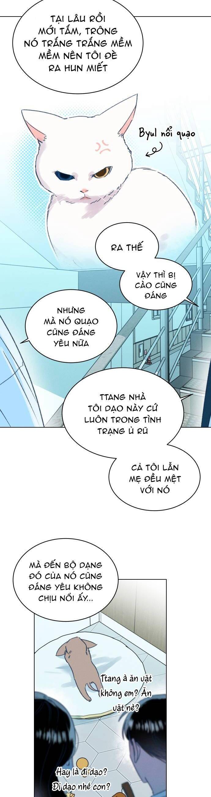 Bầu Trời Mùa Hạ Dấu Yêu Chapter 16 - Trang 13