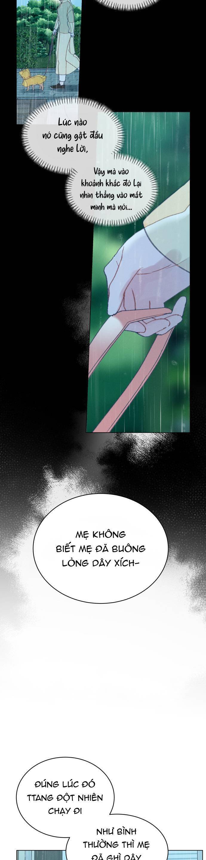 Bầu Trời Mùa Hạ Dấu Yêu Chapter 34 - Trang 14