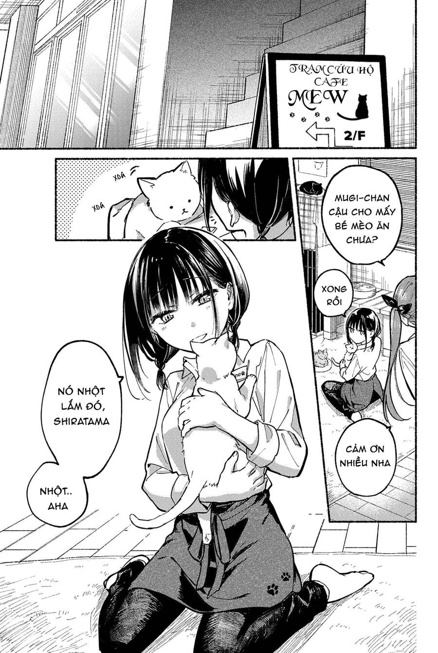 Cô Nàng Mèo Ngủ Gật Và Chàng Trai Hướng Nội Chapter 5 - Trang 1