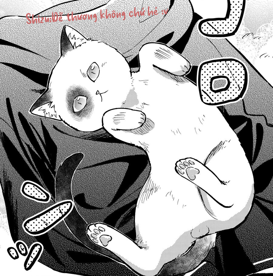 Cô Nàng Mèo Ngủ Gật Và Chàng Trai Hướng Nội Chapter 8 - Trang 15
