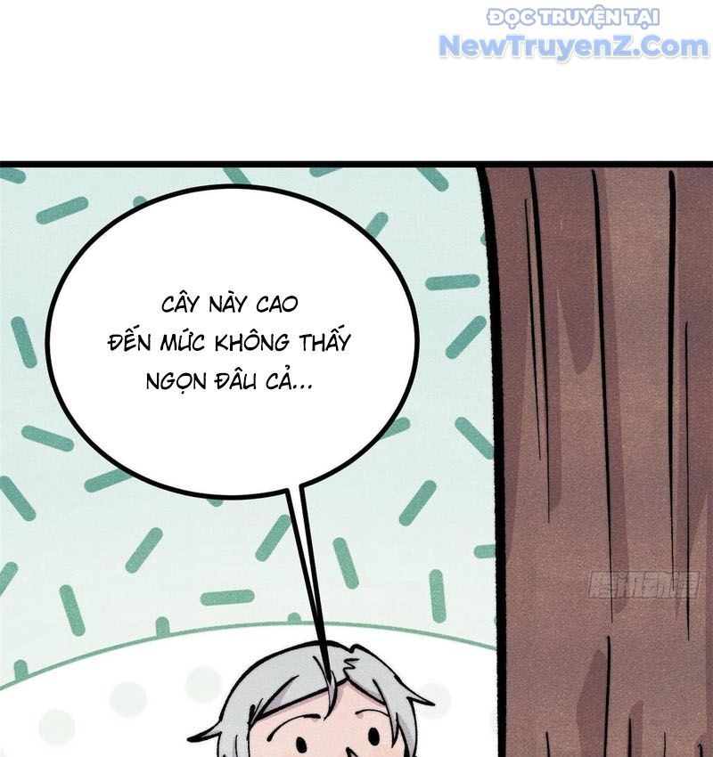 Vạn Cổ Tối Cường Tông chapter 429 - Trang 13