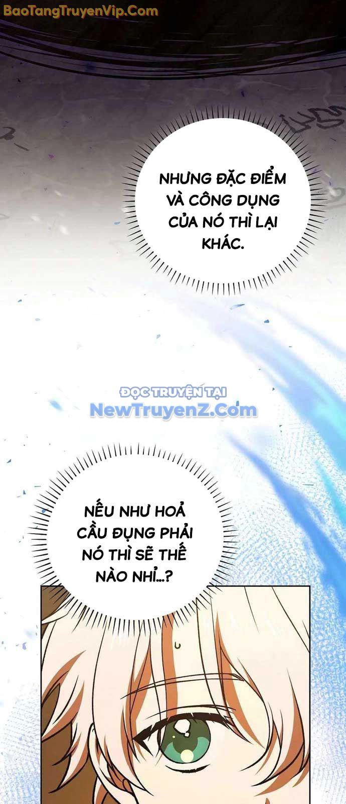 Thiên Tài Phép Thuật Nắm Giữ Khái Niệm chapter 16 - Trang 9