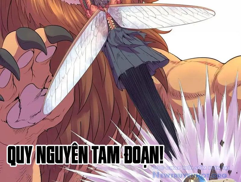 Côn Thôn Thiên Hạ chapter 348 - Trang 43