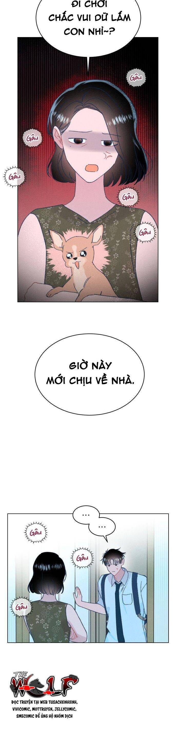 Bầu Trời Mùa Hạ Dấu Yêu Chapter 47 - Trang 15