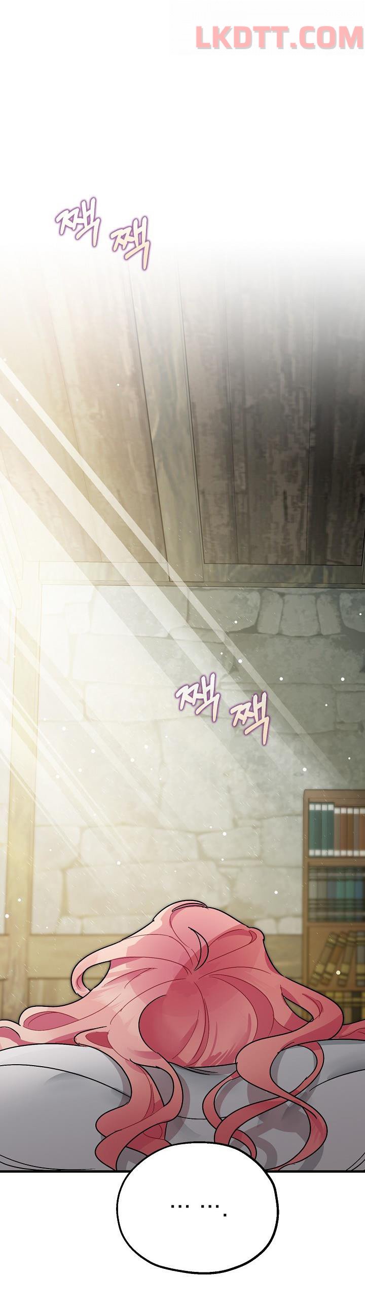 Liều Thuốc An Thần Của Bạo Chúa Chapter 1.1 - Trang 0
