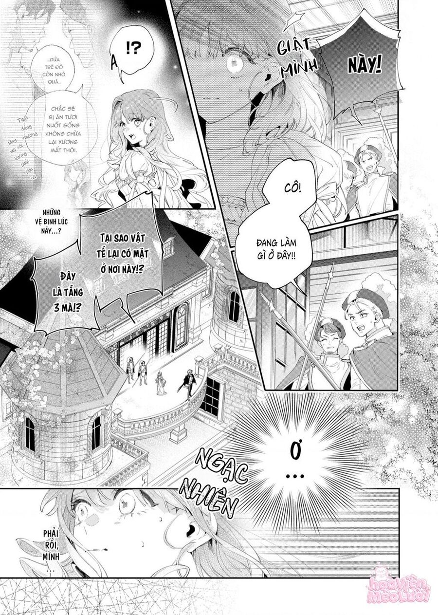Hoa Hồng Ẩn Giấu Sao Băng Chapter 2 - Trang 5