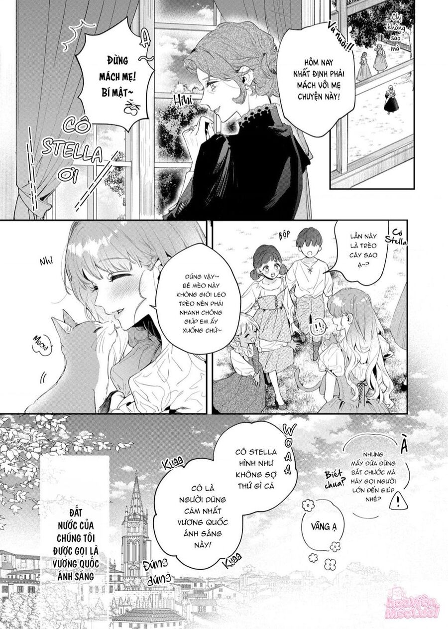 Hoa Hồng Ẩn Giấu Sao Băng Chapter 1 - Trang 8