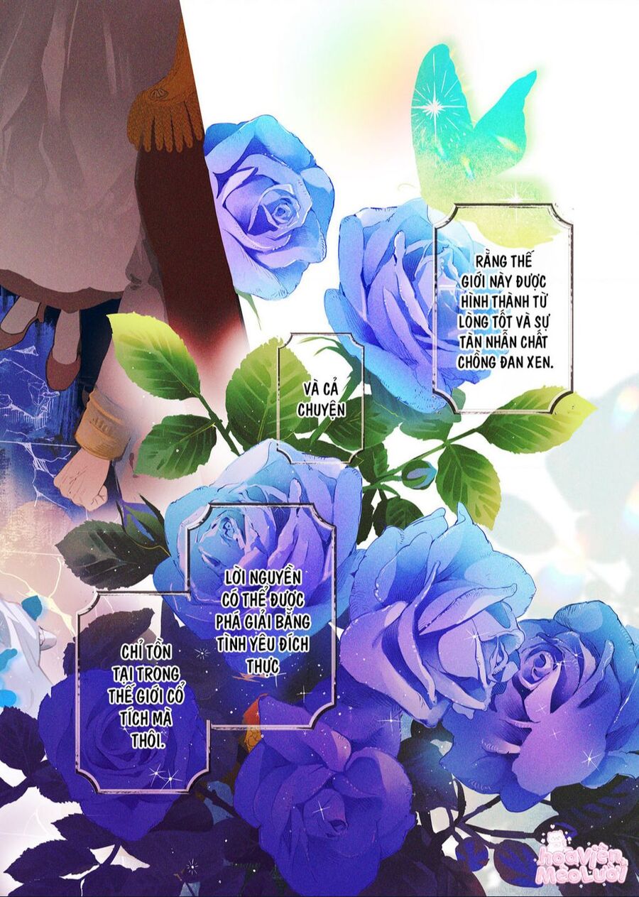 Hoa Hồng Ẩn Giấu Sao Băng Chapter 1 - Trang 3