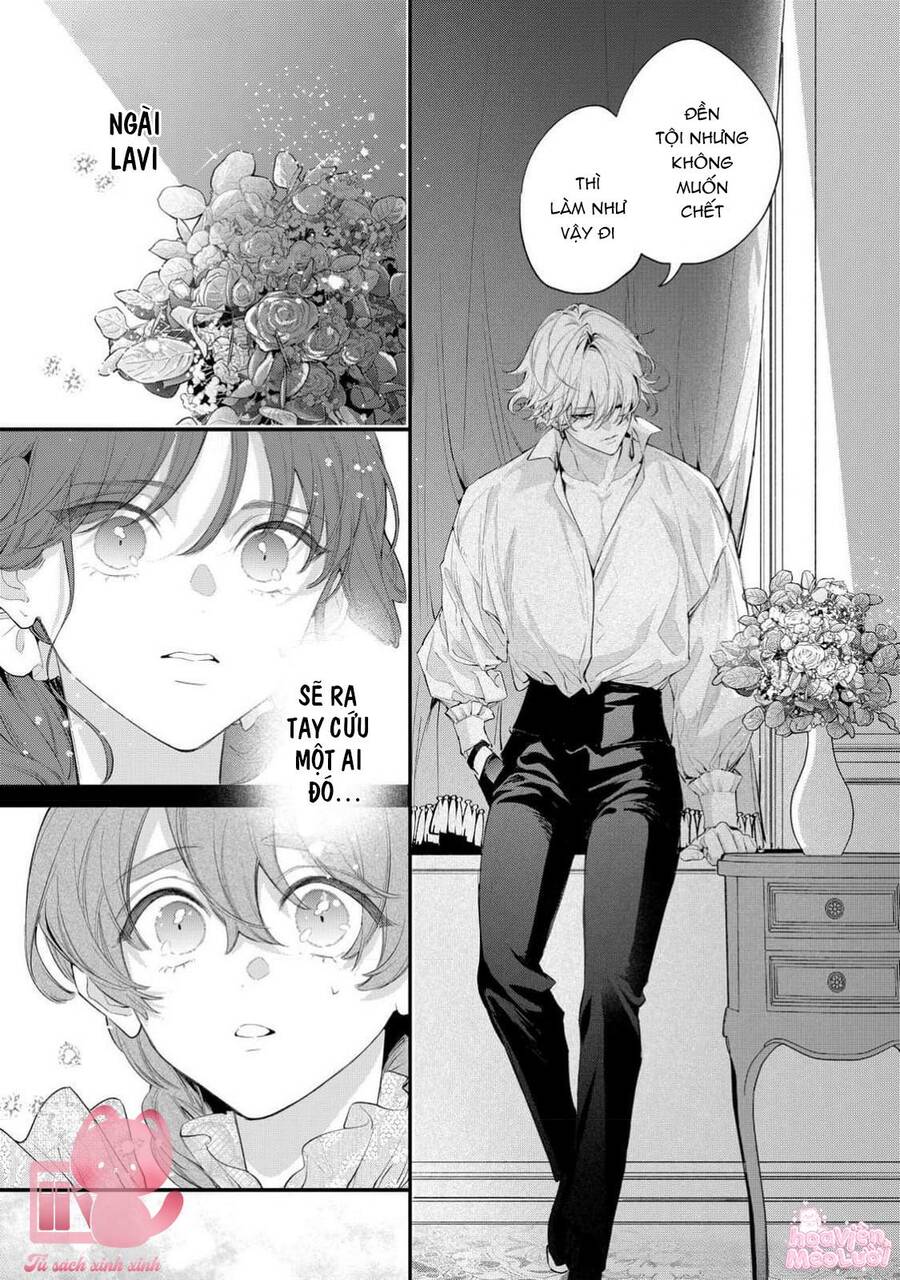 Hoa Hồng Ẩn Giấu Sao Băng Chapter 10 - Trang 25