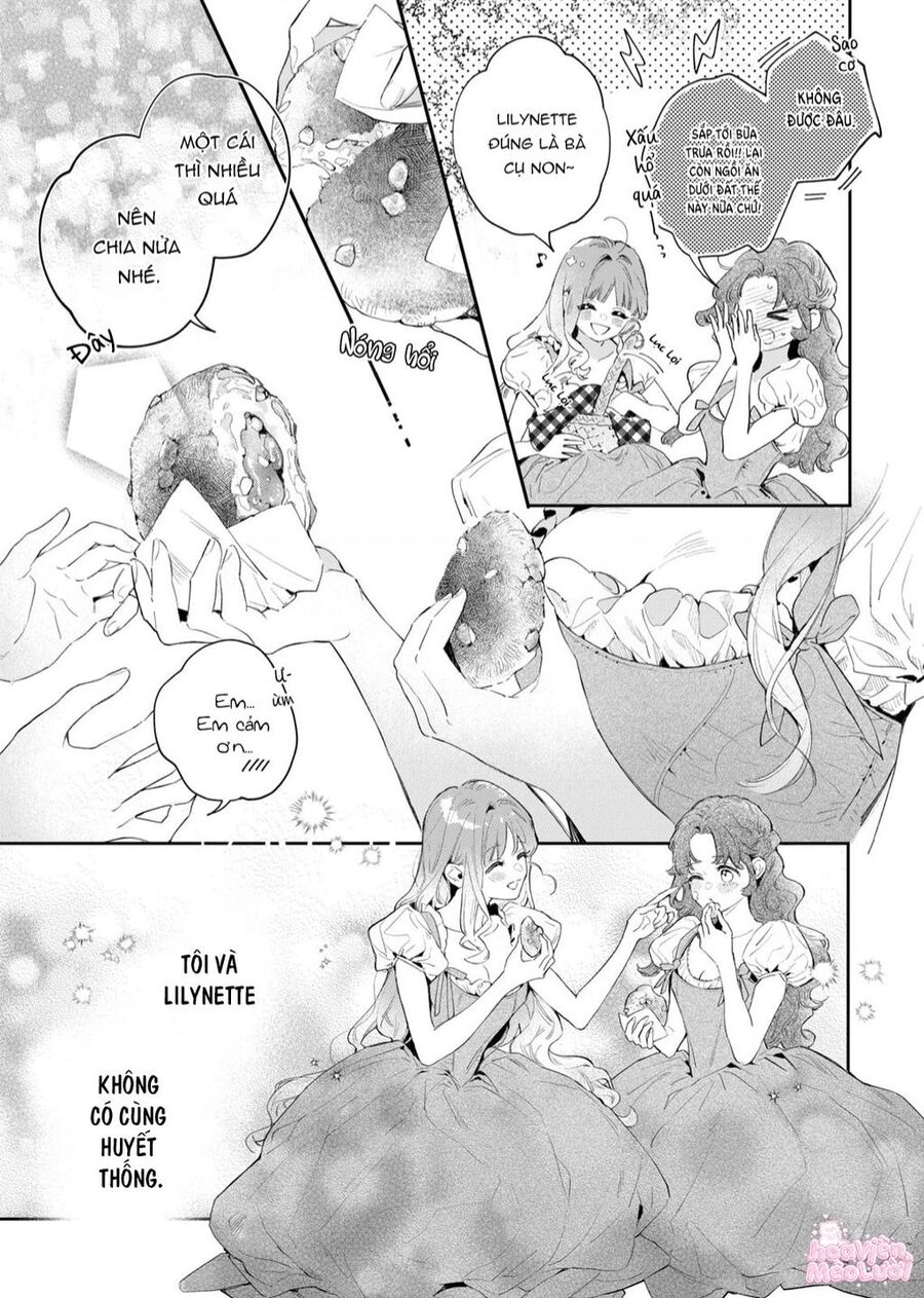 Hoa Hồng Ẩn Giấu Sao Băng Chapter 1 - Trang 12