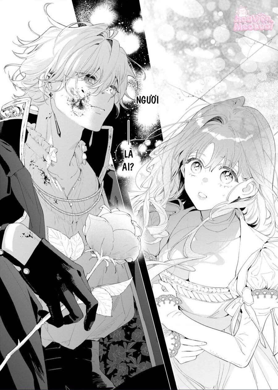 Hoa Hồng Ẩn Giấu Sao Băng Chapter 2 - Trang 3