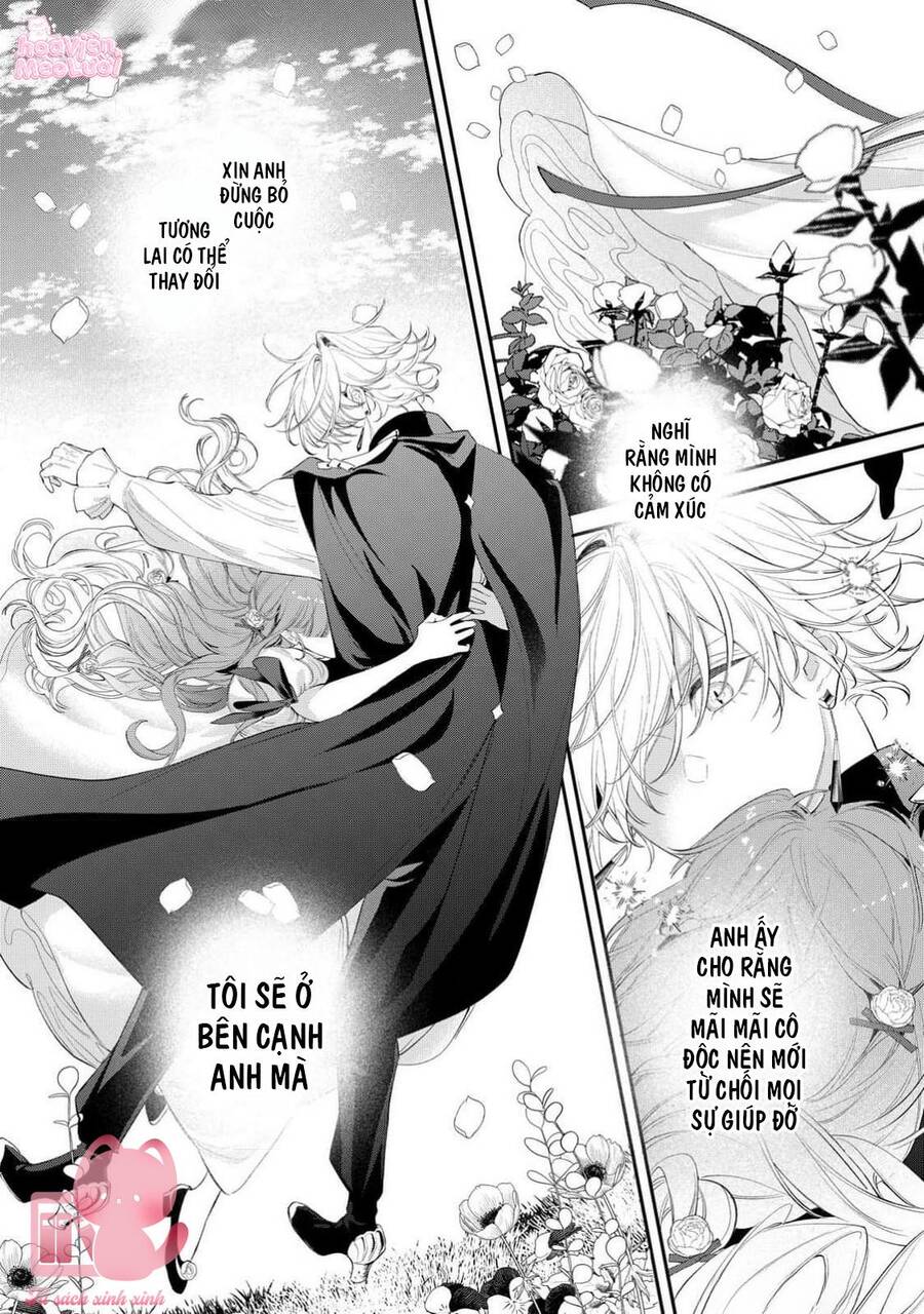 Hoa Hồng Ẩn Giấu Sao Băng Chapter 13 - Trang 15