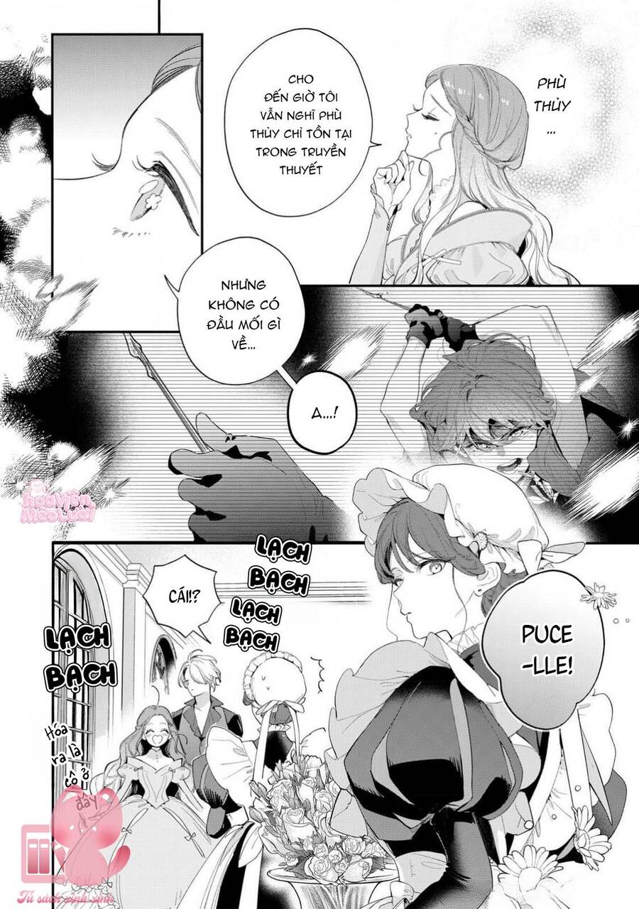 Hoa Hồng Ẩn Giấu Sao Băng Chapter 16 - Trang 17