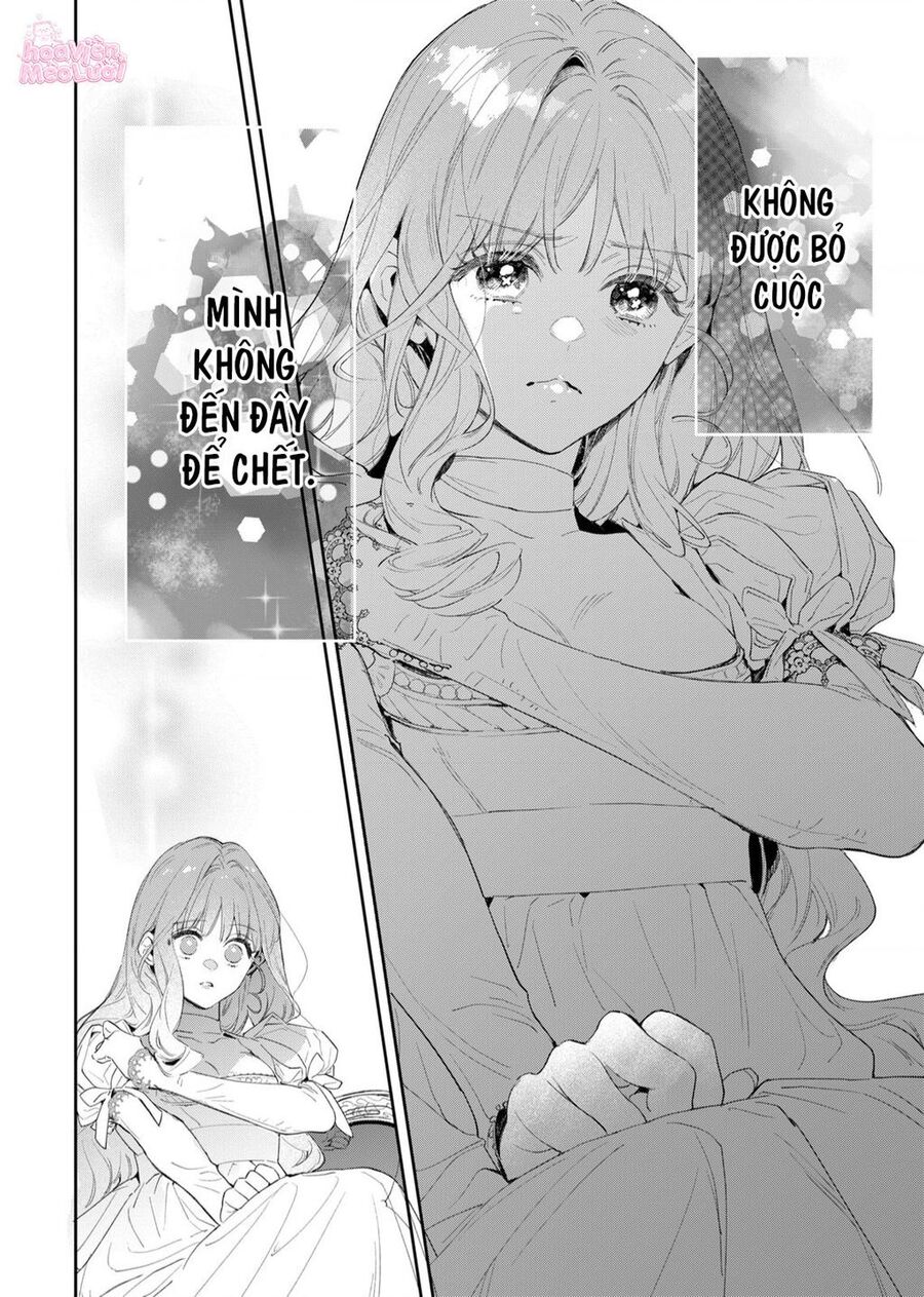 Hoa Hồng Ẩn Giấu Sao Băng Chapter 1 - Trang 37