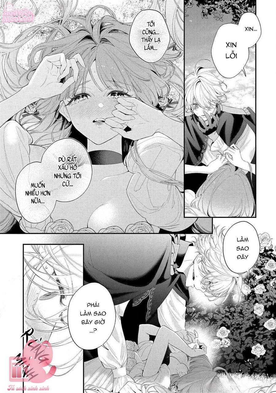 Hoa Hồng Ẩn Giấu Sao Băng Chapter 15 - Trang 5