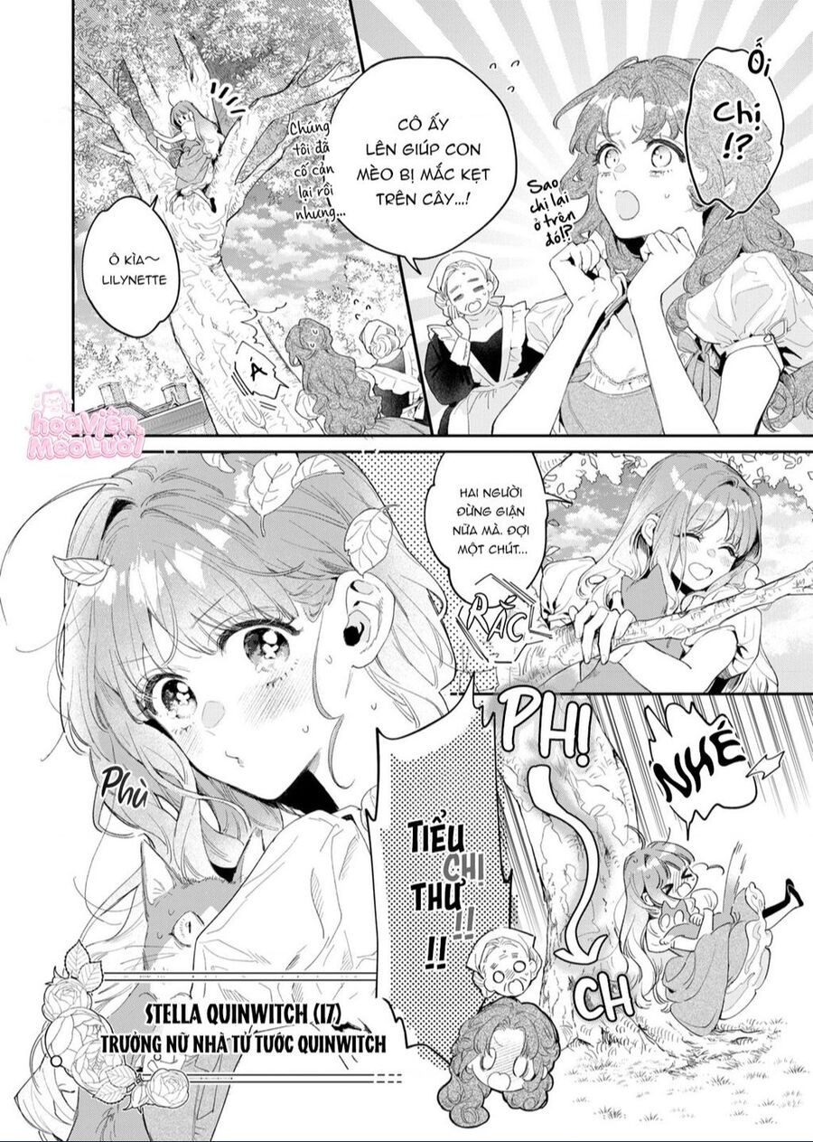 Hoa Hồng Ẩn Giấu Sao Băng Chapter 1 - Trang 7