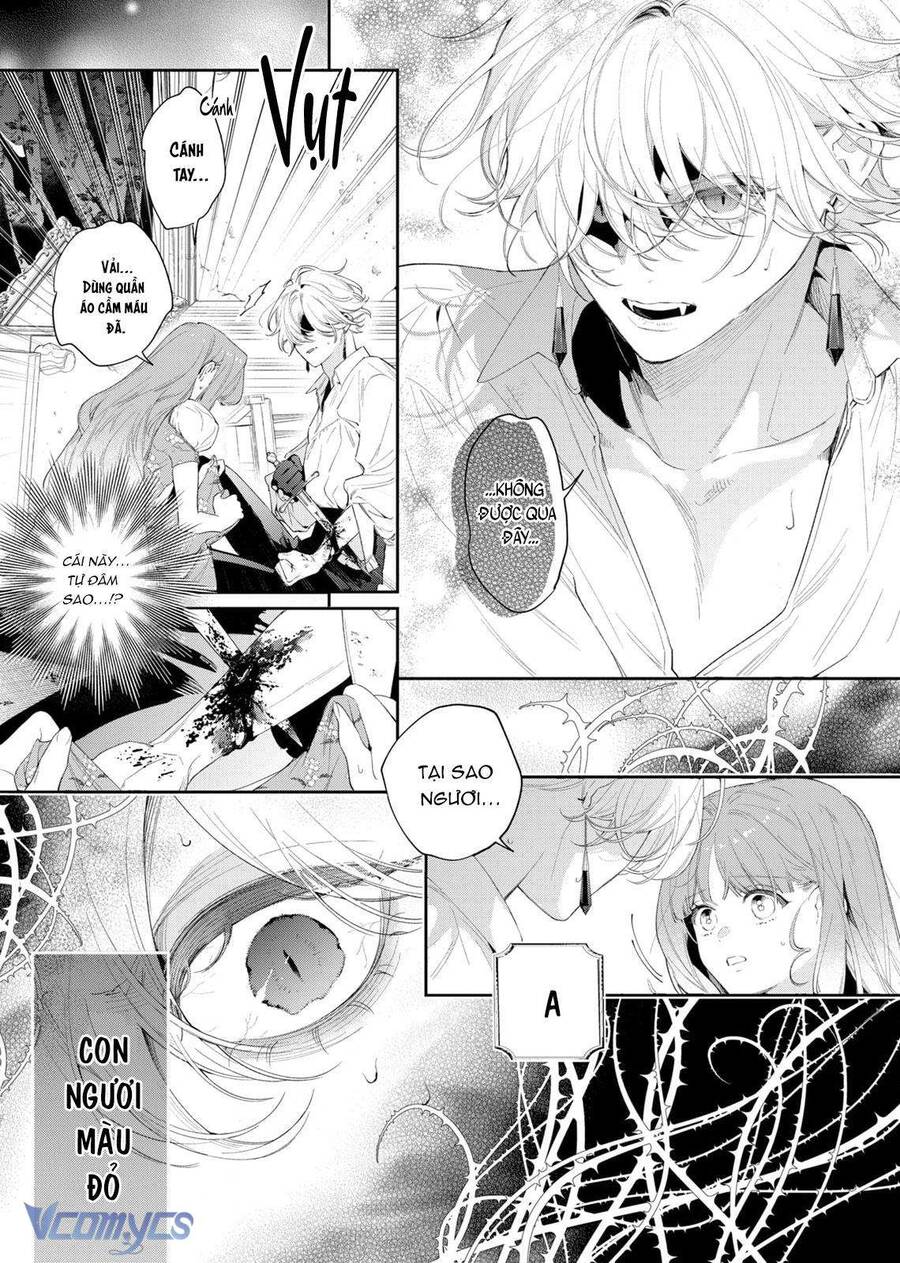 Hoa Hồng Ẩn Giấu Sao Băng Chapter 4 - Trang 16