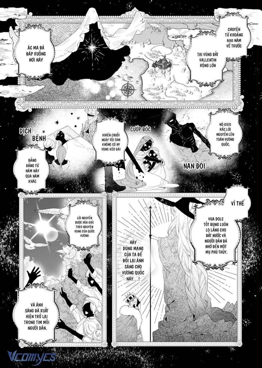 Hoa Hồng Ẩn Giấu Sao Băng Chapter 3 - Trang 22