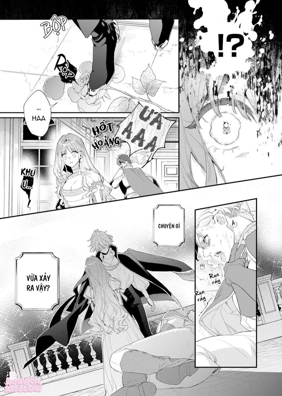 Hoa Hồng Ẩn Giấu Sao Băng Chapter 2 - Trang 12