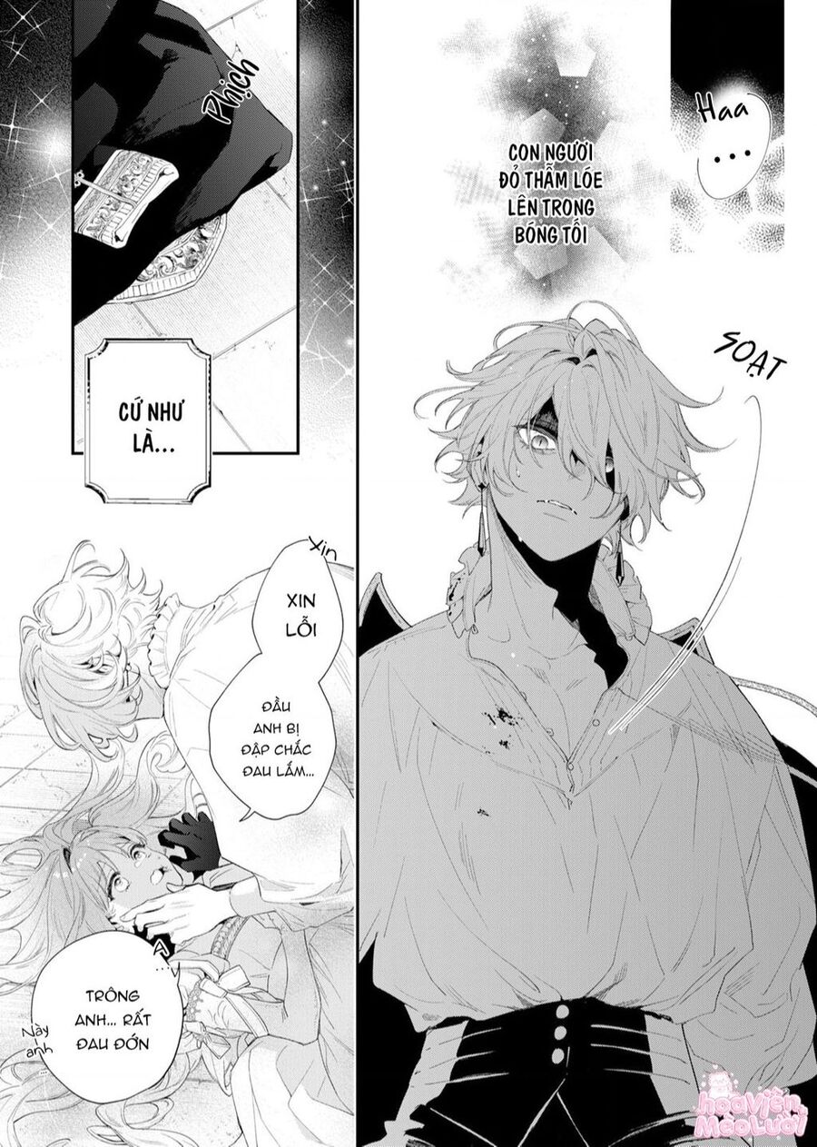 Hoa Hồng Ẩn Giấu Sao Băng Chapter 2 - Trang 22