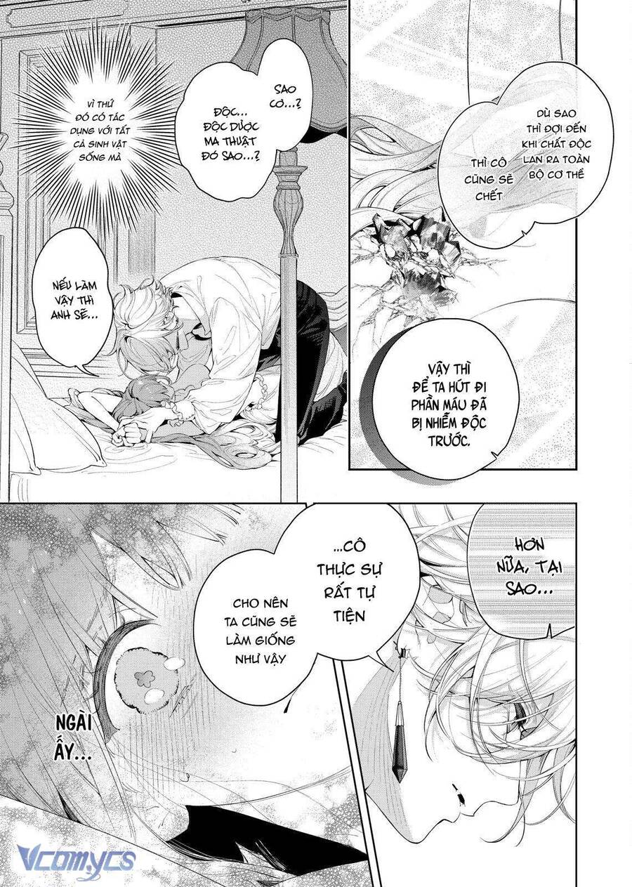 Hoa Hồng Ẩn Giấu Sao Băng Chapter 7 - Trang 16