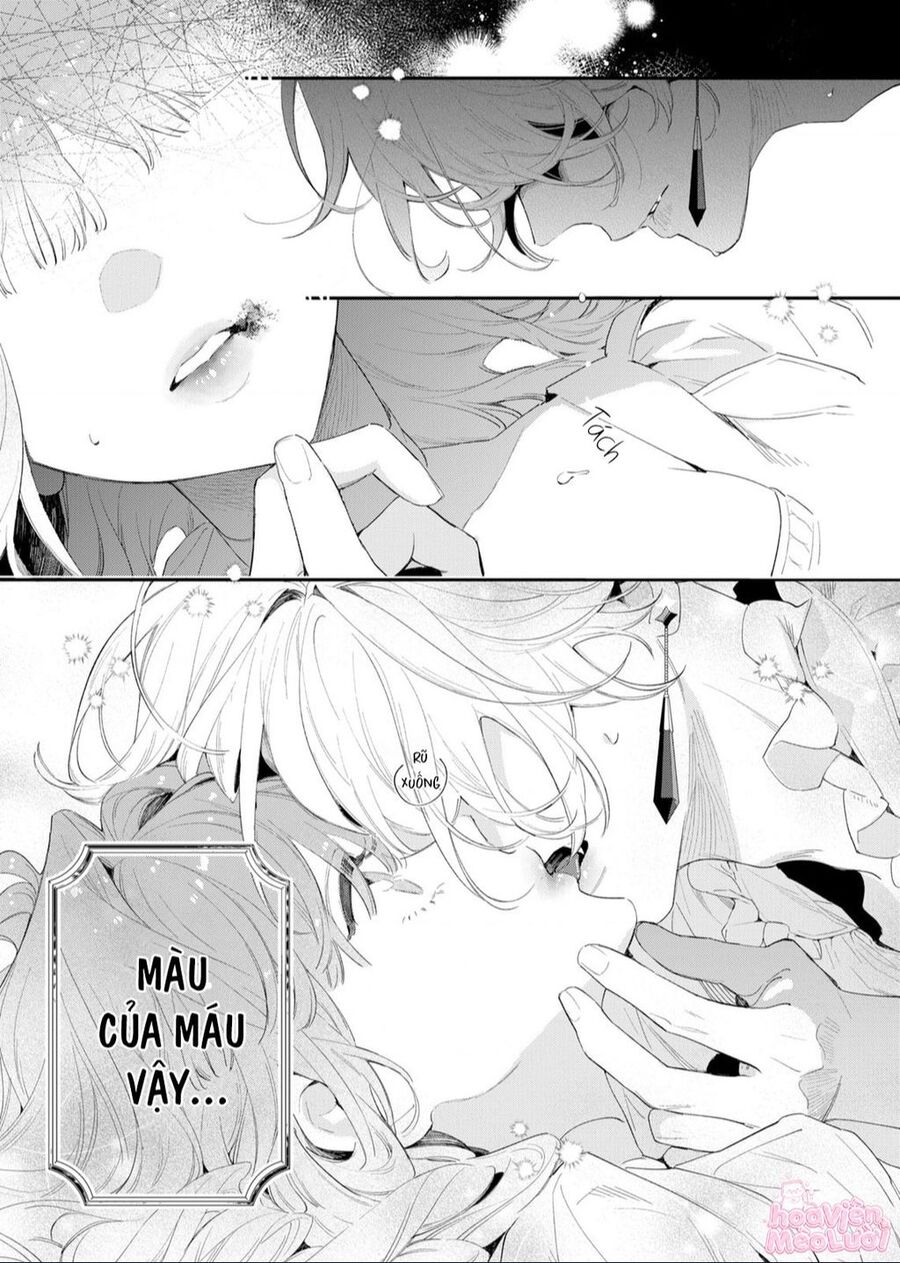 Hoa Hồng Ẩn Giấu Sao Băng Chapter 2 - Trang 23