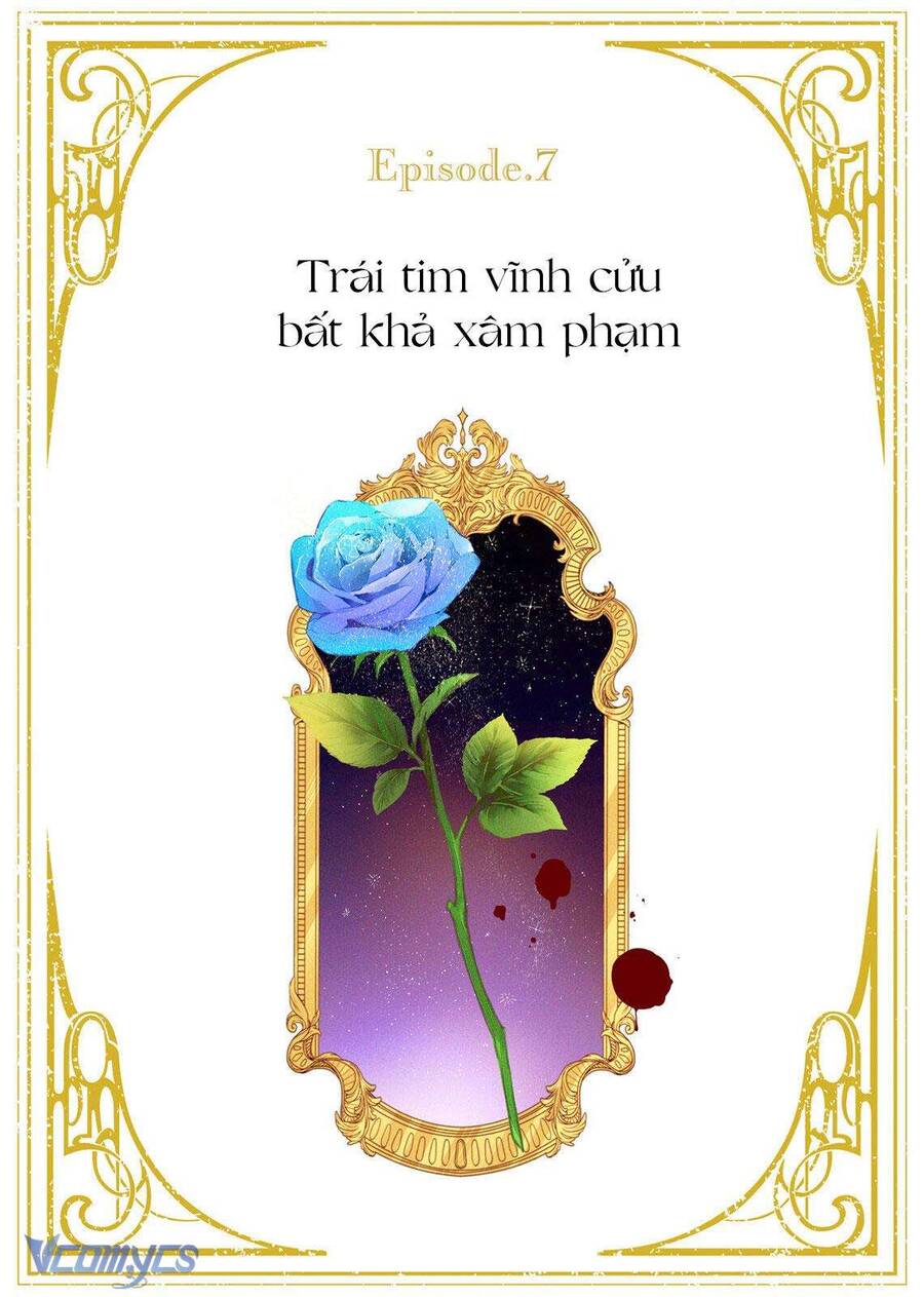 Hoa Hồng Ẩn Giấu Sao Băng Chapter 7 - Trang 1