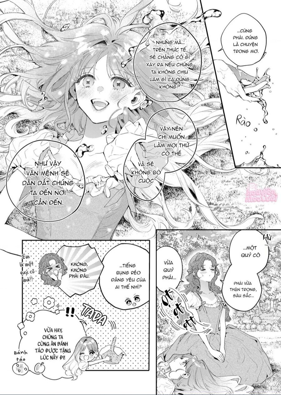Hoa Hồng Ẩn Giấu Sao Băng Chapter 1 - Trang 11