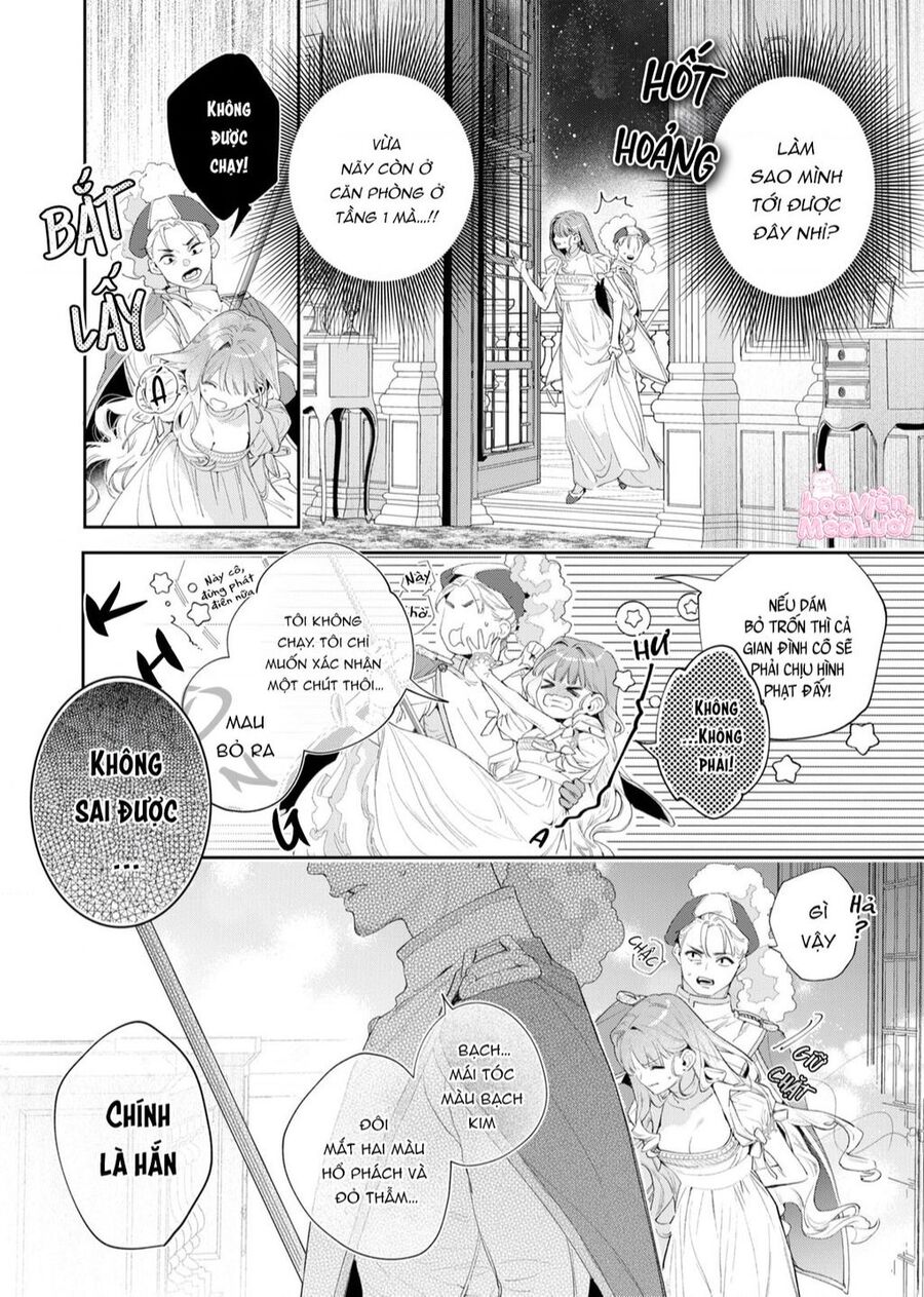 Hoa Hồng Ẩn Giấu Sao Băng Chapter 2 - Trang 6