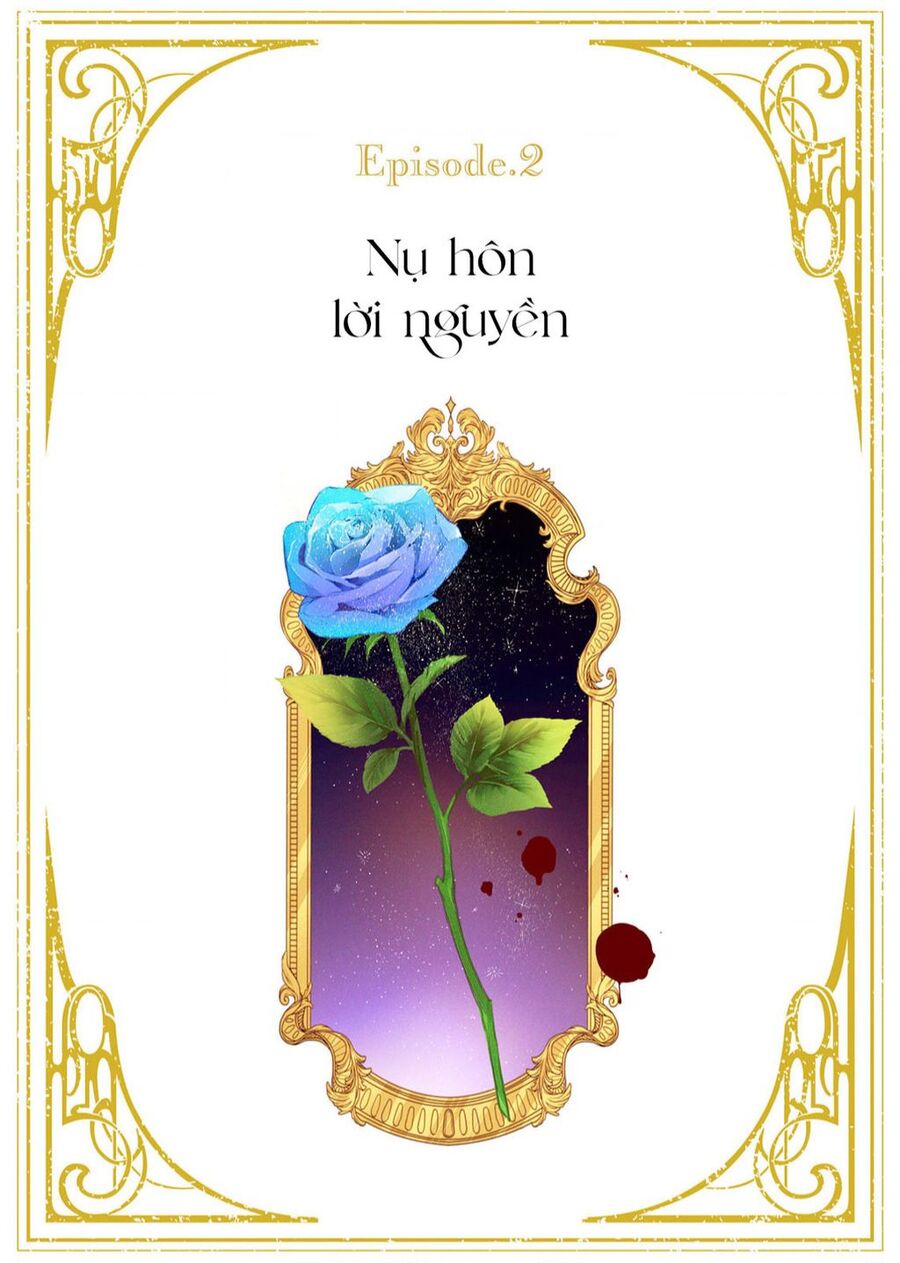 Hoa Hồng Ẩn Giấu Sao Băng Chapter 2 - Trang 2