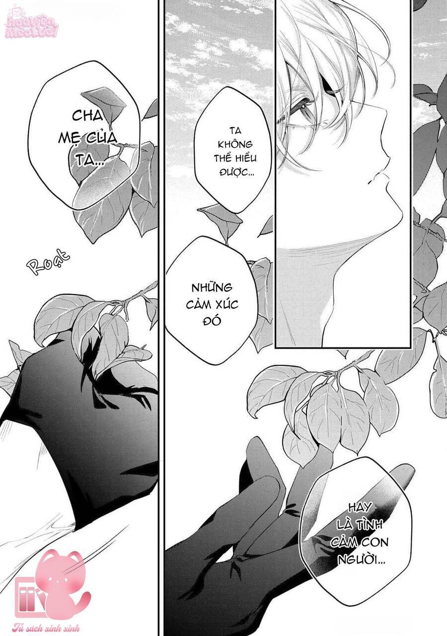 Hoa Hồng Ẩn Giấu Sao Băng Chapter 12 - Trang 32