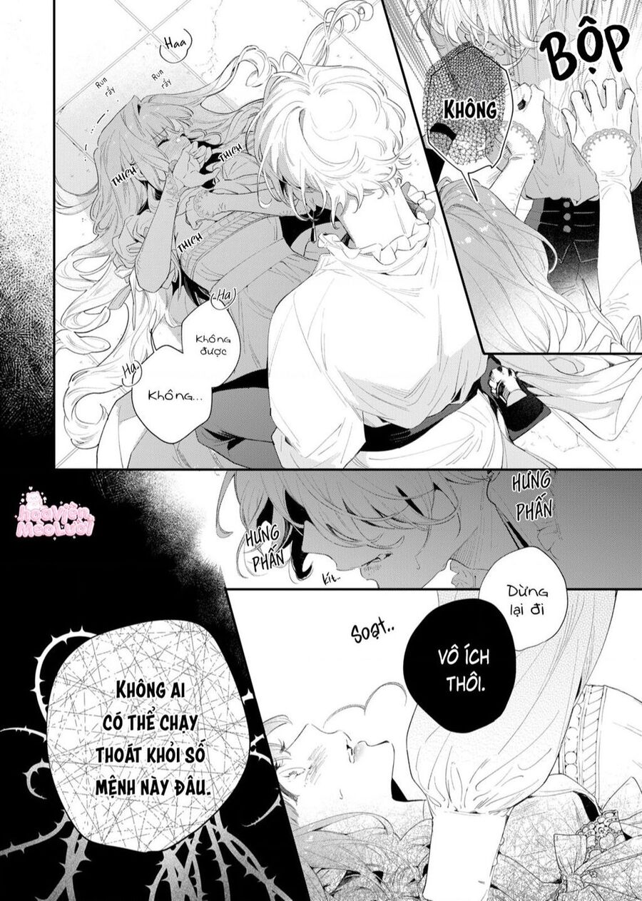 Hoa Hồng Ẩn Giấu Sao Băng Chapter 2 - Trang 26