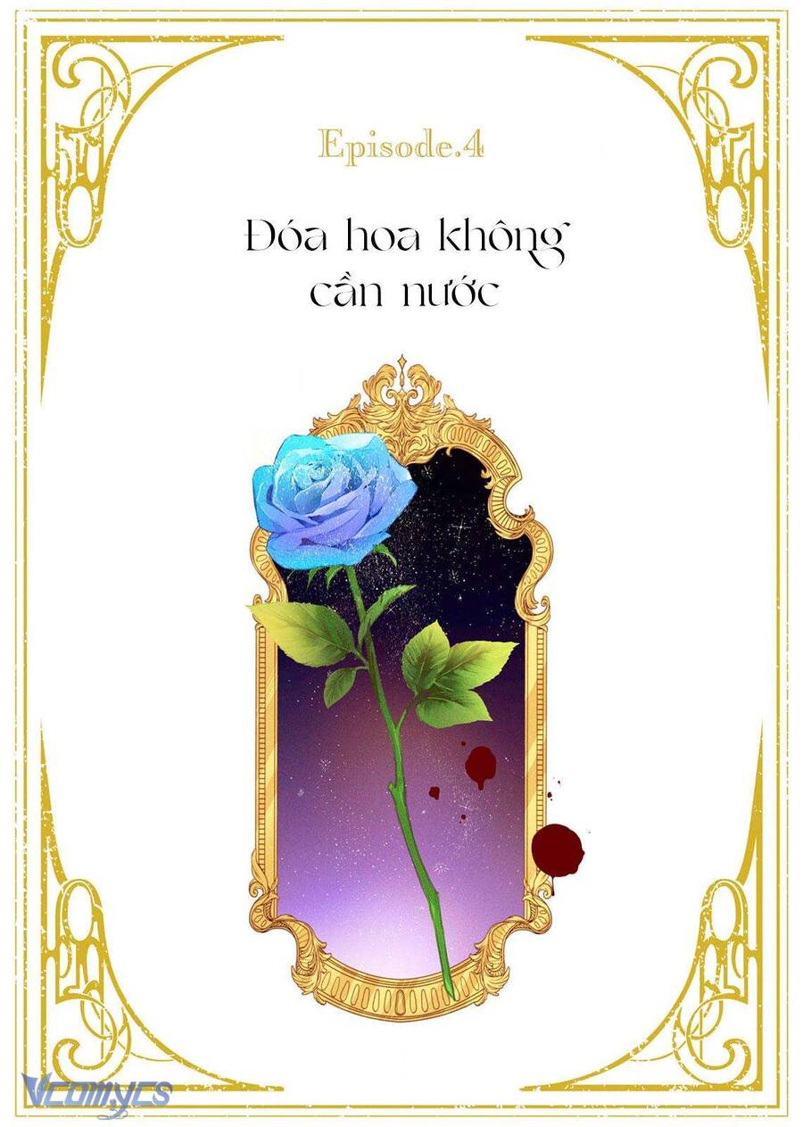 Hoa Hồng Ẩn Giấu Sao Băng Chapter 4 - Trang 1