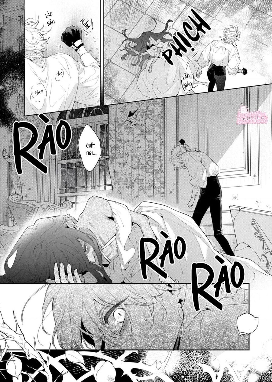 Hoa Hồng Ẩn Giấu Sao Băng Chapter 1 - Trang 17