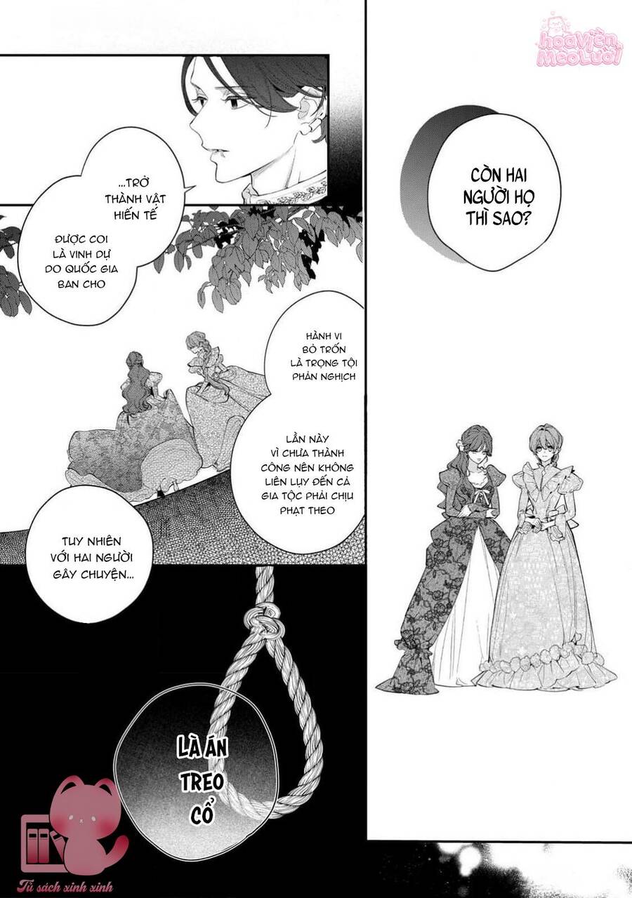 Hoa Hồng Ẩn Giấu Sao Băng Chapter 10 - Trang 14