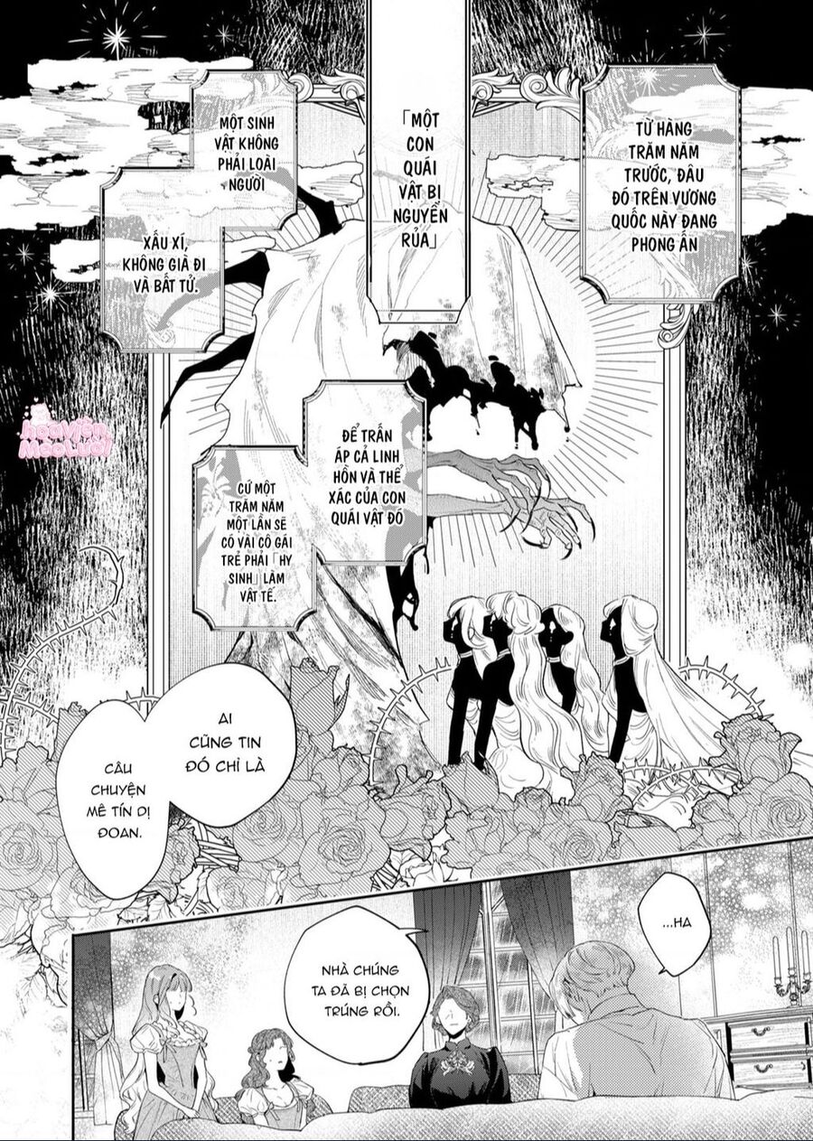 Hoa Hồng Ẩn Giấu Sao Băng Chapter 1 - Trang 19