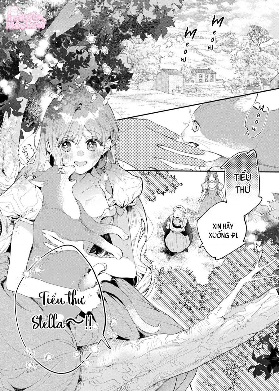 Hoa Hồng Ẩn Giấu Sao Băng Chapter 1 - Trang 6