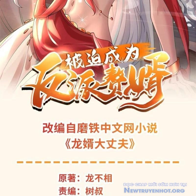 Người Ở Rể Bị Ép Thành Phản Diện chapter 639 - Trang 3