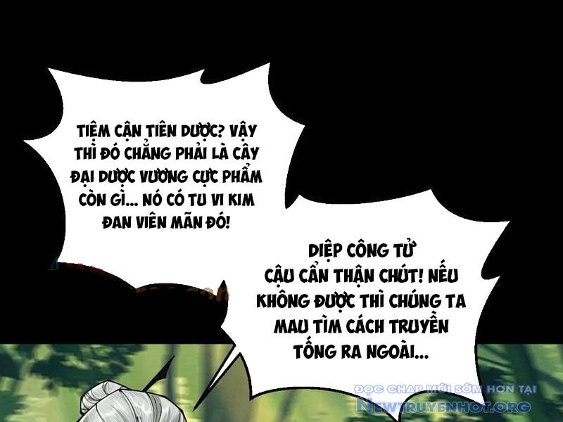 Gặp mạnh thì càng mạnh, tu vi của ta không giới hạn chapter 50 - Trang 122