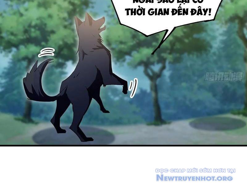 Hoá Ra Ta Đã Vô Địch Từ Lâu chapter 301 - Trang 81