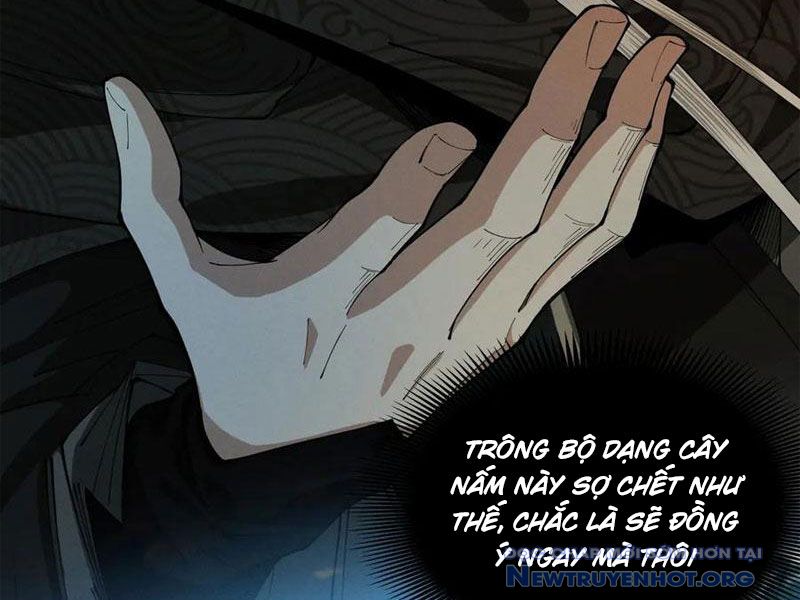 Gặp mạnh thì càng mạnh, tu vi của ta không giới hạn chapter 51 - Trang 51